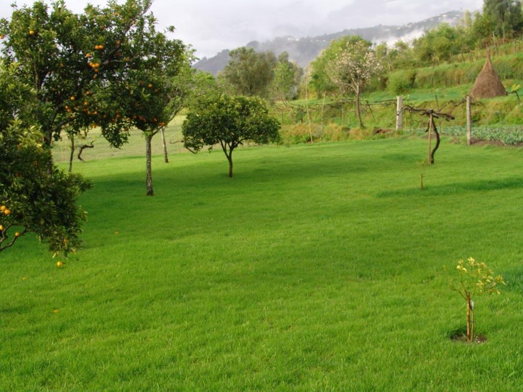 Quinta De Santa Marinha Lägenhet Arcos de Valdevez Exteriör bild