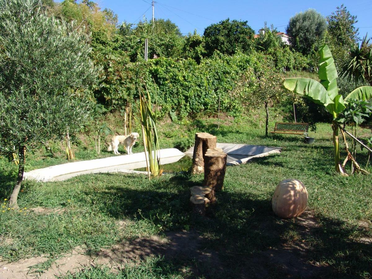 Quinta De Santa Marinha Lägenhet Arcos de Valdevez Exteriör bild