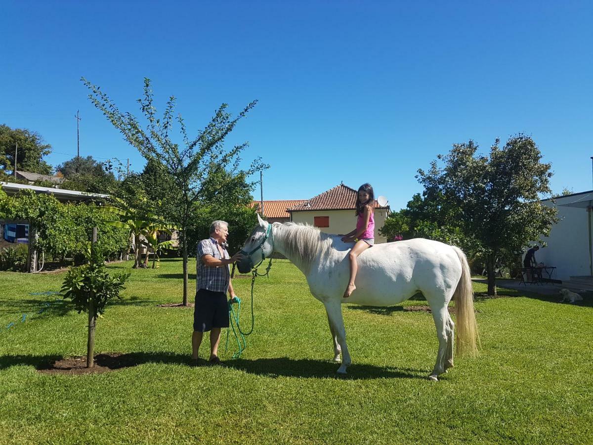 Quinta De Santa Marinha Lägenhet Arcos de Valdevez Exteriör bild