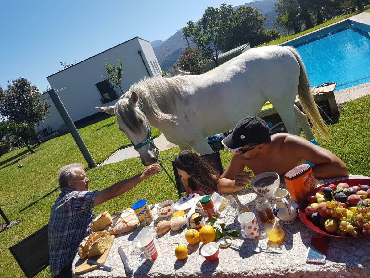 Quinta De Santa Marinha Lägenhet Arcos de Valdevez Exteriör bild