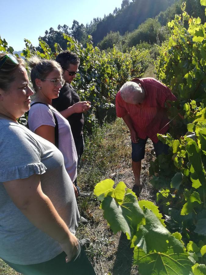 Quinta De Santa Marinha Lägenhet Arcos de Valdevez Exteriör bild