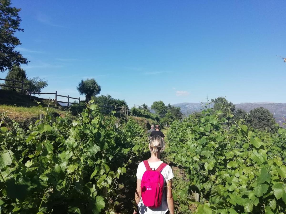 Quinta De Santa Marinha Lägenhet Arcos de Valdevez Exteriör bild